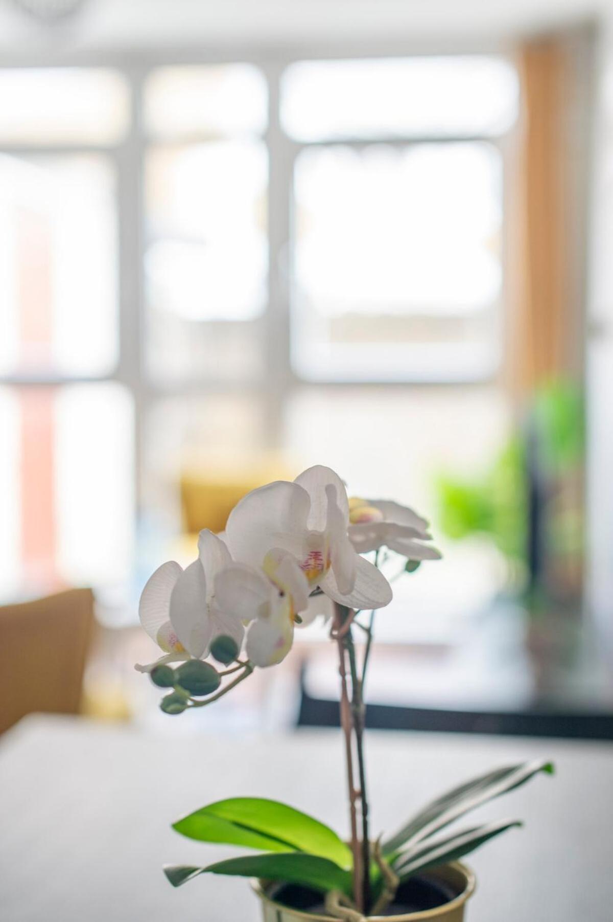 Lovely 2-Bed 20 Mins To Central Λονδίνο Εξωτερικό φωτογραφία